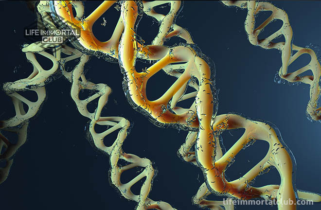 Guide to DNA Methylation and Gene Regulation